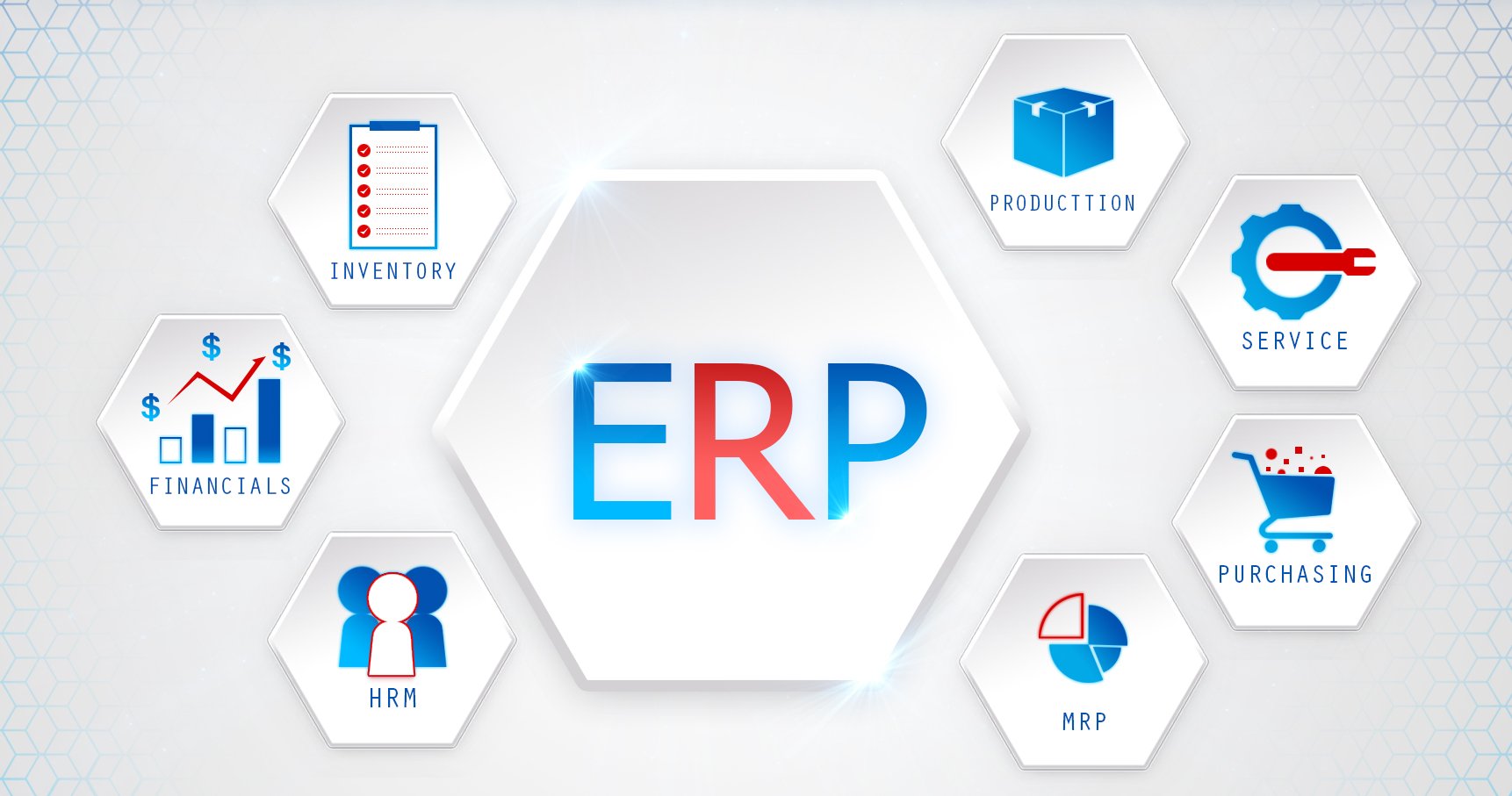 ERP System